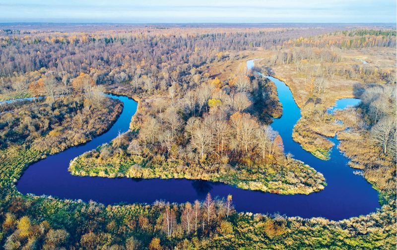 § 14. РОЛЬ БИОТЫ В БИОСФЕРЕ И ХОЗЯЙСТВЕННОЙ ДЕЯТЕЛЬНОСТИ ЧЕЛОВЕКА ...